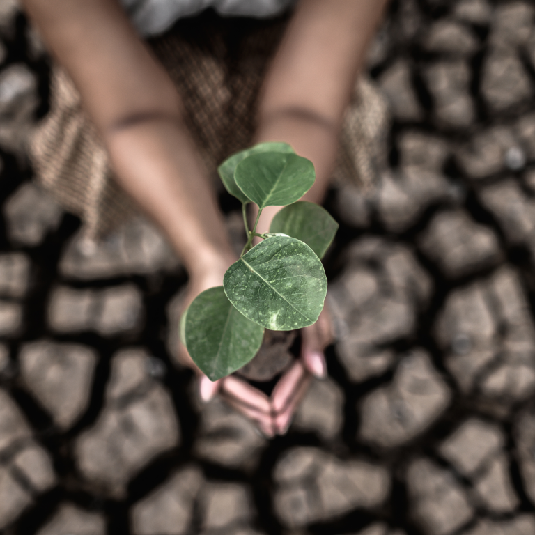 World Climate and Climate Change Adaptation Day