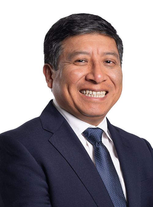 Luis<br> Santamaría