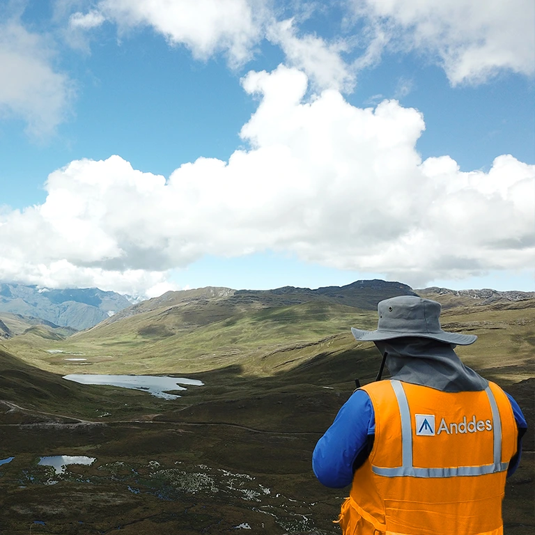 Environmental Services