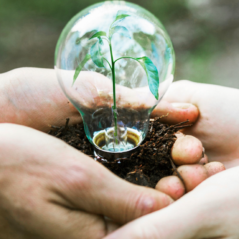 Recycling and Waste Management