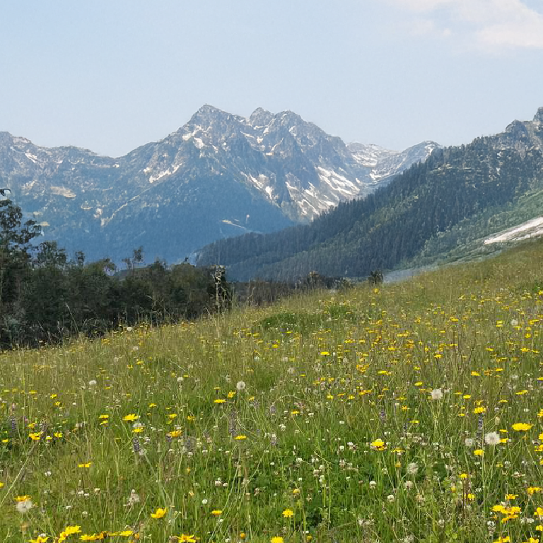 Anddes reaffirms its commitment to biodiversity