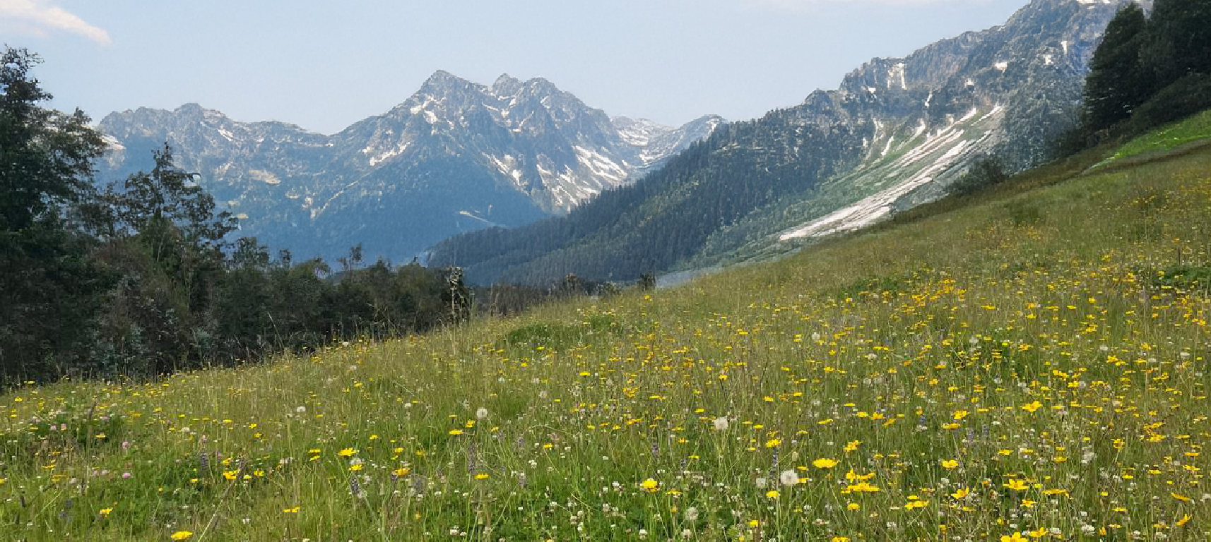 Anddes reaffirms its commitment to biodiversity